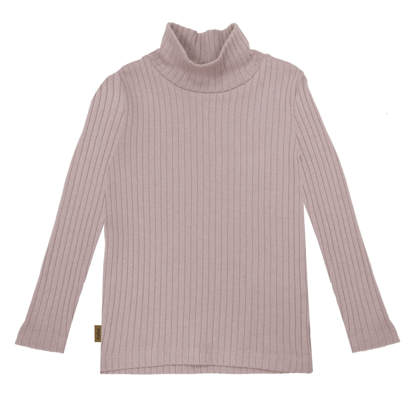 RIBBED TURTLENECK || HEBE